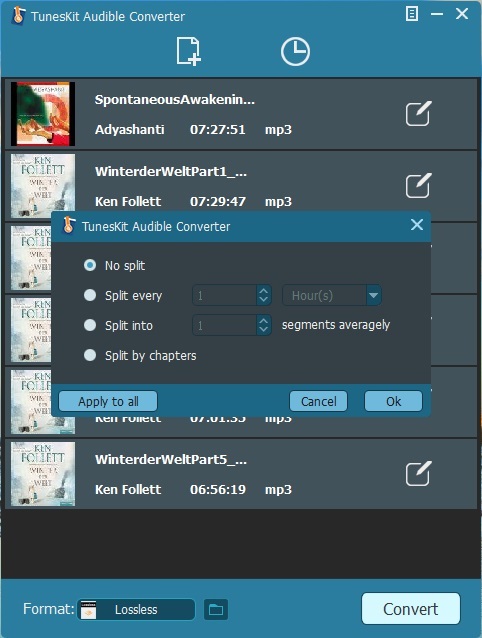 Split large files to segments by chapters or by time)