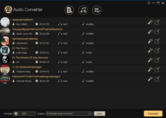 main interface of ViWizard DRM Audio Converter