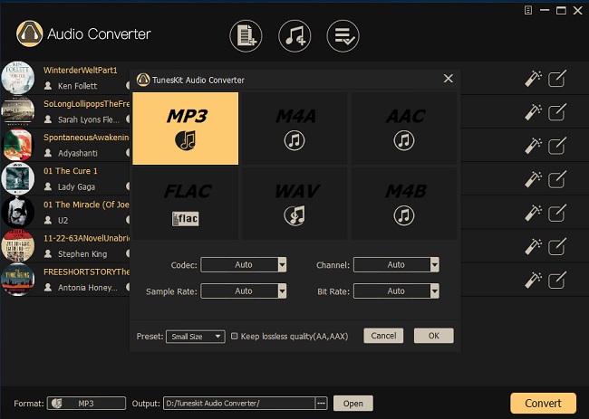output settings for drm audio conversion