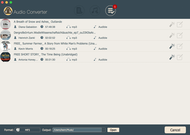 start drm audio conversion