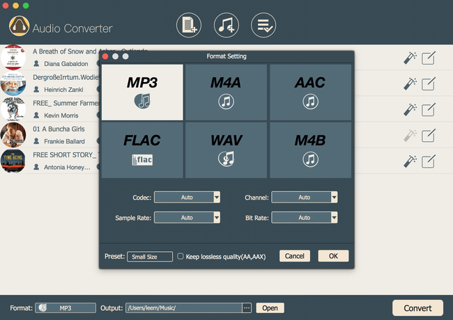 output settings for drm audio conversion
