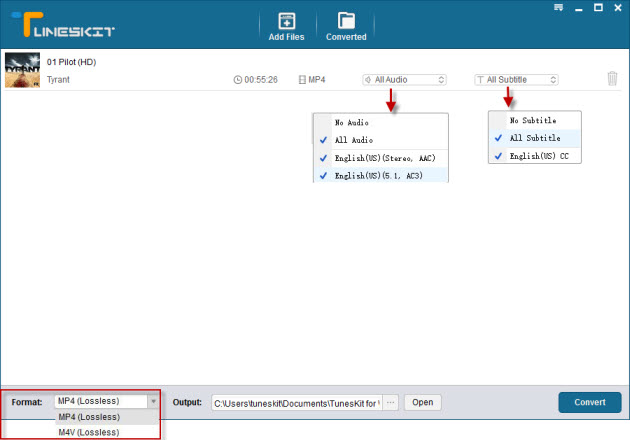 settings for removing DRM from M4V